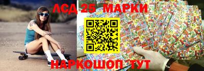 шишки Ставрополь