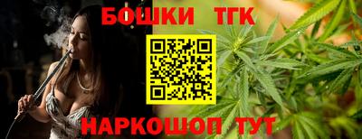 шишки Ставрополь