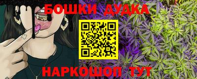 шишки Ставрополь