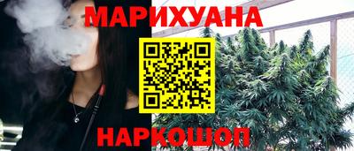 шишки Ставрополь