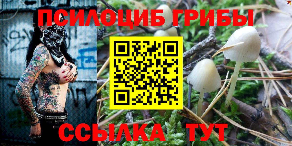 Псилоцибиновые грибы мицелий Новошахтинск