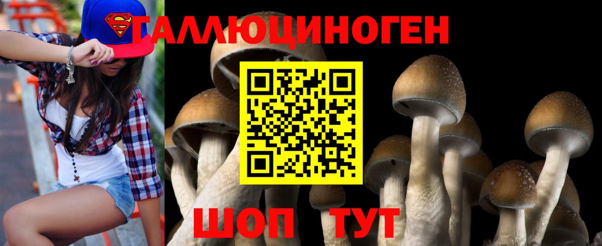 Галлюциногенные грибы Psilocybine cubensis  Вход с VPN  Новошахтинск 